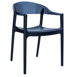 The Enders Dining Chair, Black And Transparent Black, Polypropylene, Set Of 2