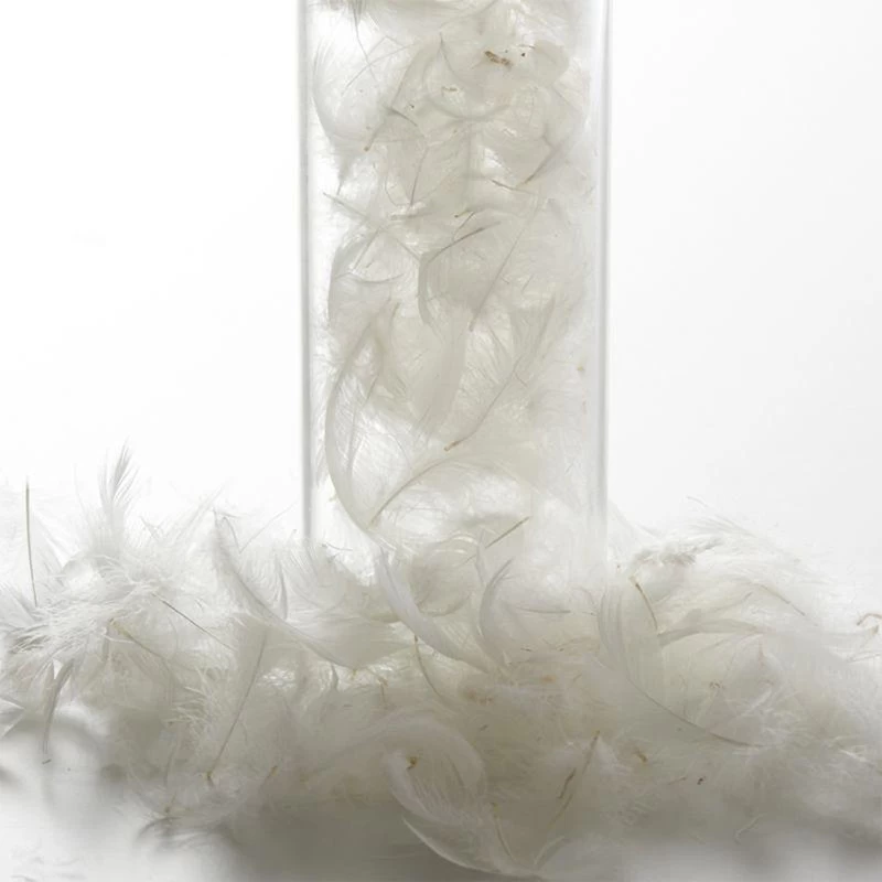 Luna Slipcover Sofa, Cream - Image 4