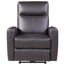 Blane Recliner, Power Motion, Brown Top Grain Leather Match